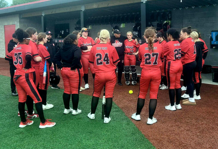 Big Red falls in district tournament